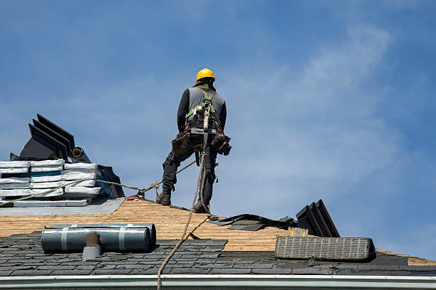 Professional Roof Replacement technician working in Mantachie, MS